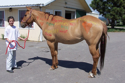 BC aka Buttercup is a 23 year old Dun mare.